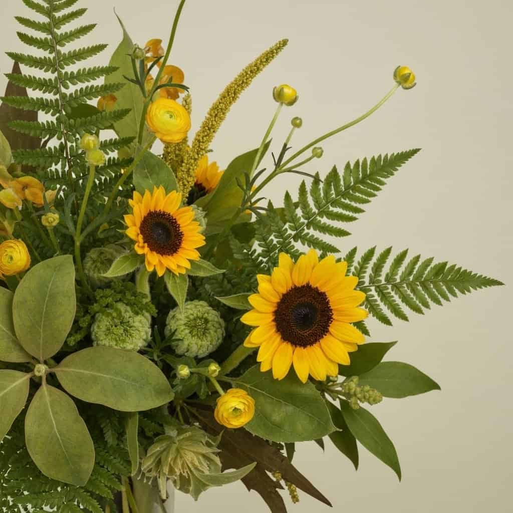 Luteina i zeaksantyna: Kluczowe witaminy dla zdrowia Twoich oczu